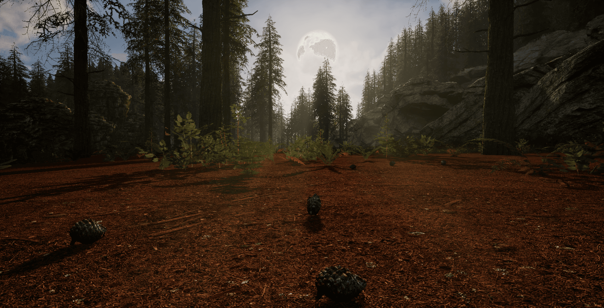 Ciliora ForestOfGiuthas 01